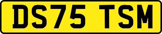DS75TSM
