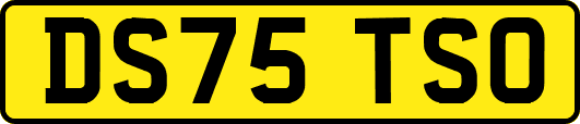 DS75TSO