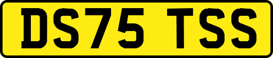 DS75TSS