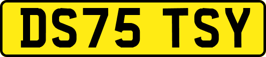 DS75TSY