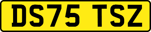 DS75TSZ