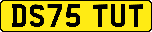 DS75TUT