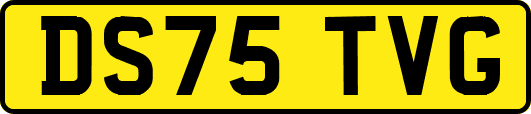 DS75TVG