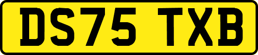 DS75TXB
