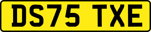 DS75TXE