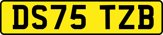 DS75TZB