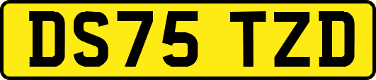 DS75TZD