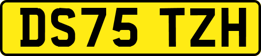 DS75TZH