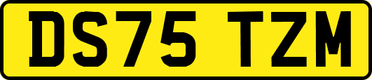 DS75TZM