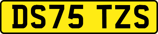 DS75TZS