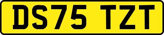 DS75TZT