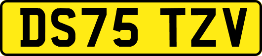 DS75TZV