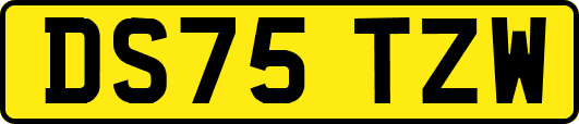 DS75TZW