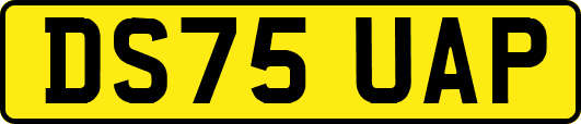 DS75UAP