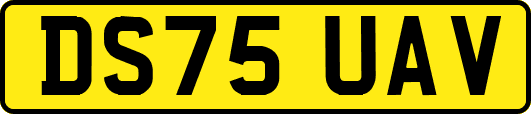 DS75UAV