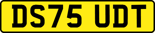 DS75UDT