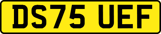 DS75UEF