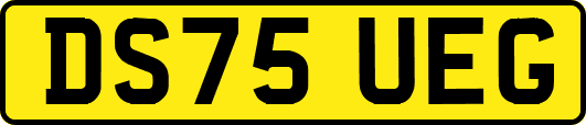 DS75UEG