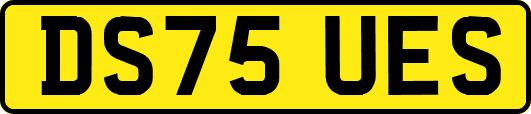 DS75UES