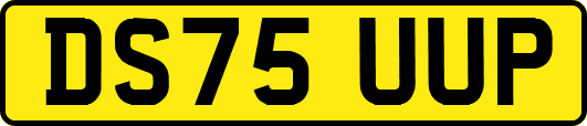 DS75UUP