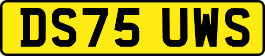 DS75UWS