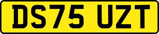 DS75UZT