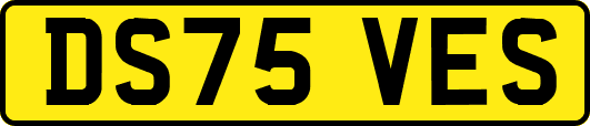 DS75VES