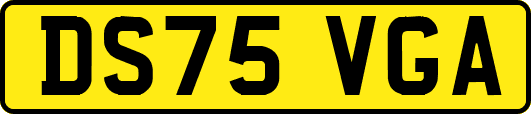 DS75VGA
