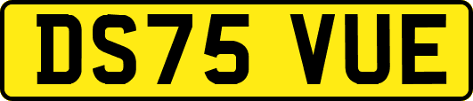 DS75VUE