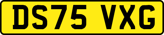 DS75VXG