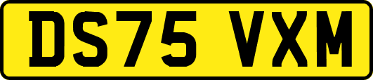 DS75VXM