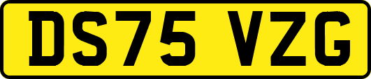 DS75VZG