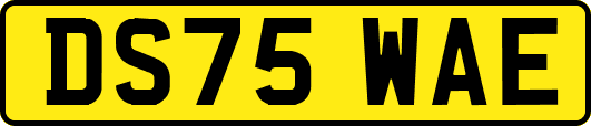 DS75WAE
