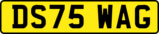 DS75WAG