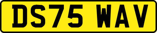 DS75WAV
