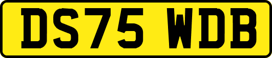 DS75WDB