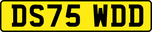 DS75WDD
