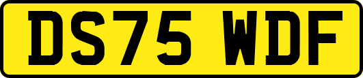 DS75WDF