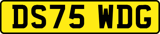 DS75WDG