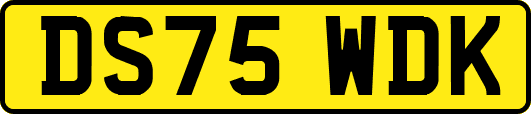 DS75WDK
