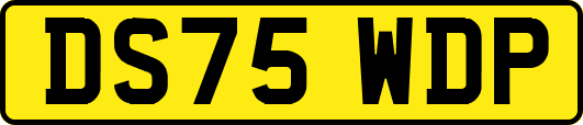 DS75WDP