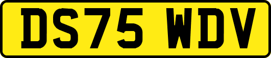 DS75WDV