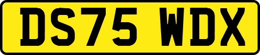 DS75WDX