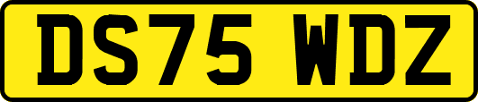 DS75WDZ