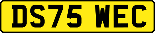 DS75WEC