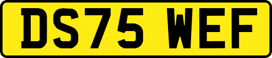 DS75WEF