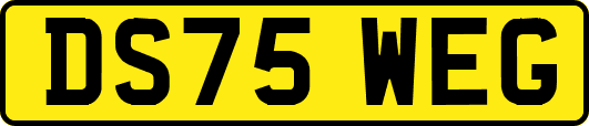 DS75WEG