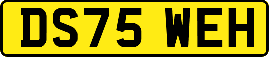 DS75WEH