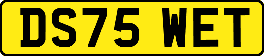 DS75WET