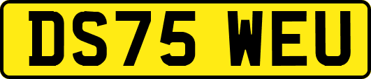 DS75WEU
